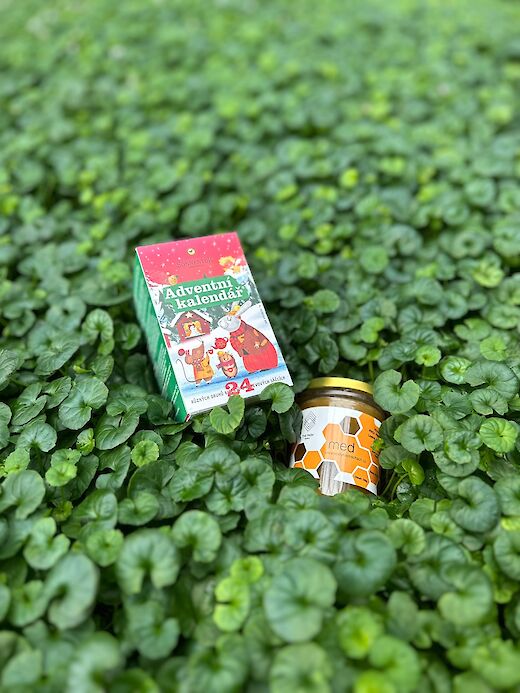 INSTAGRAM GIVEAWAY: WIN A ADVENT TEA AND THE PARK HONEY