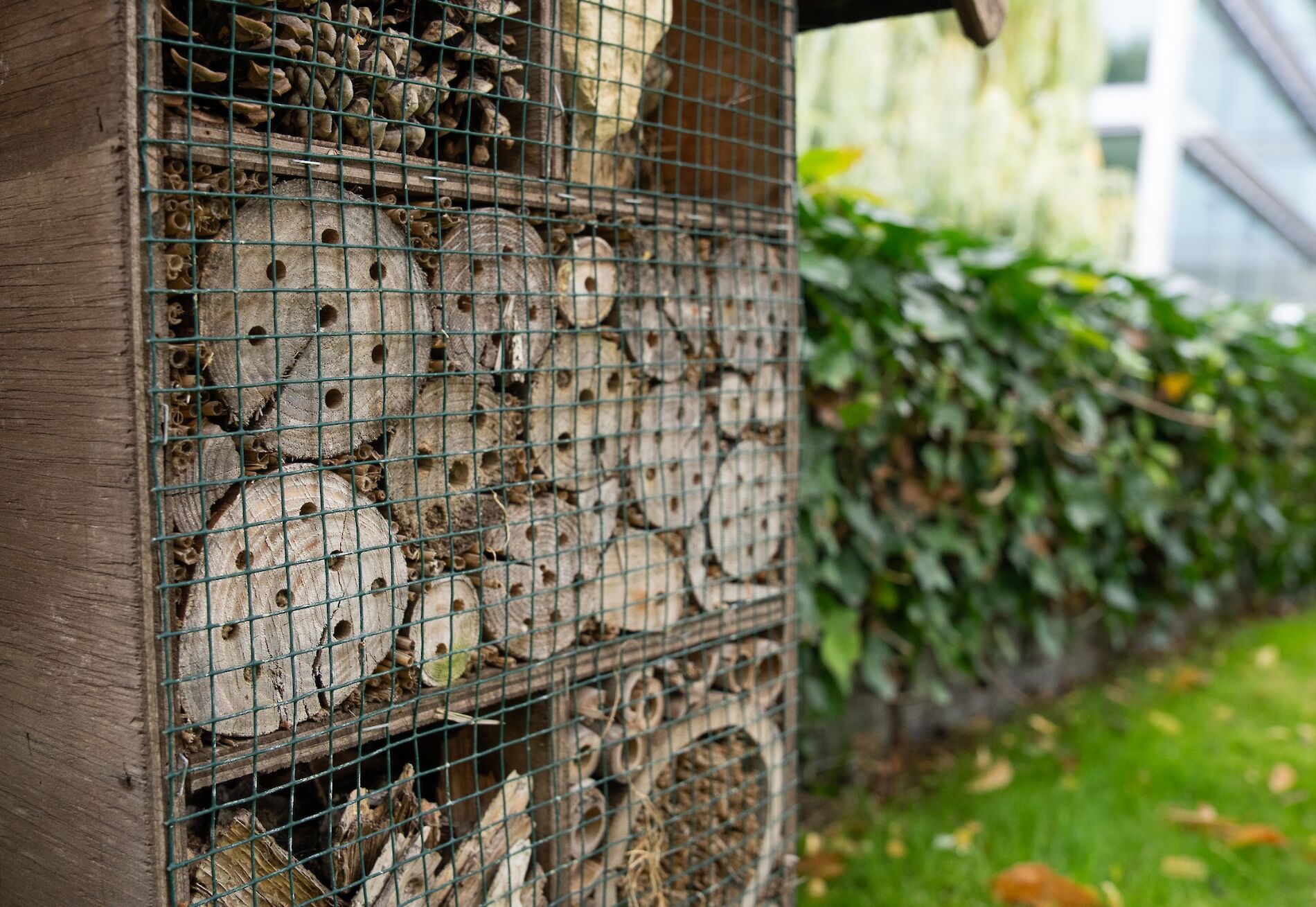 Insect Hotels in The Park