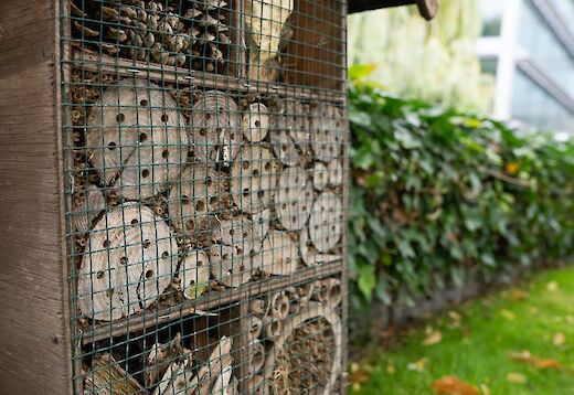 Insect Hotels in The Park