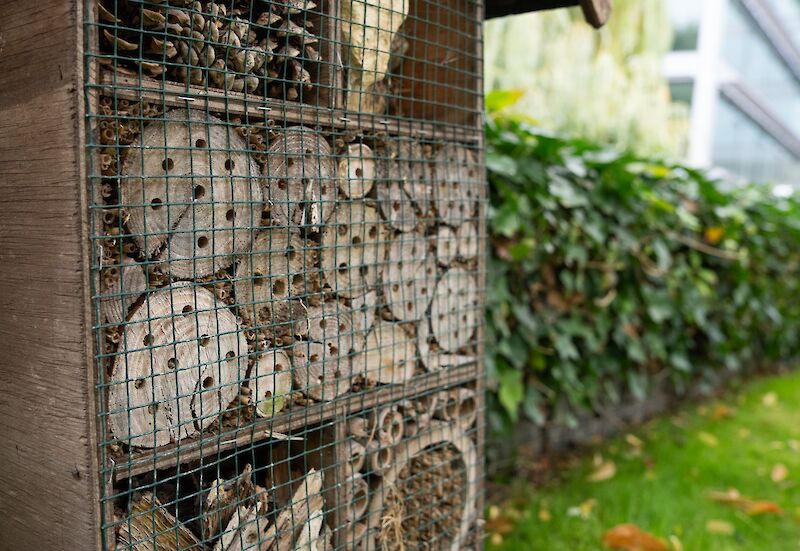 Insect Hotels in The Park