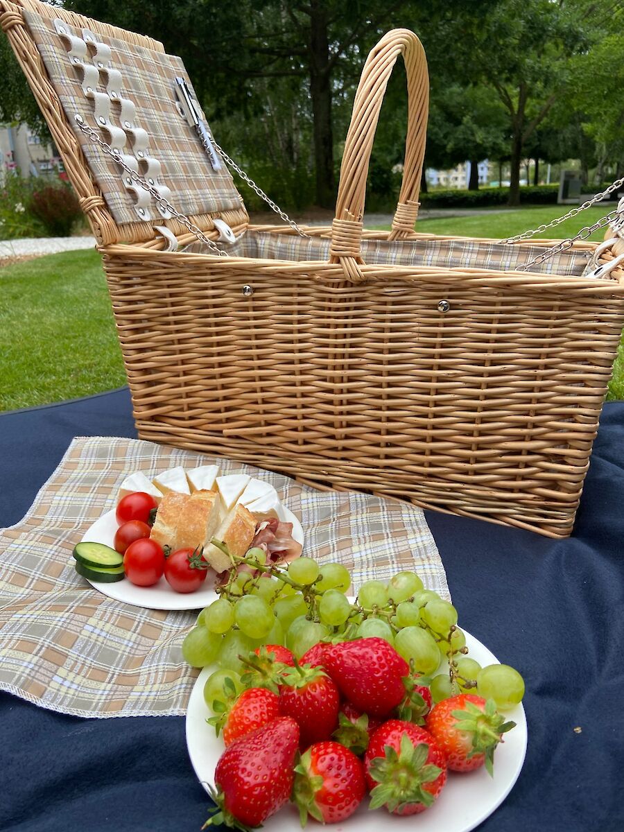 Pikniková deka a set