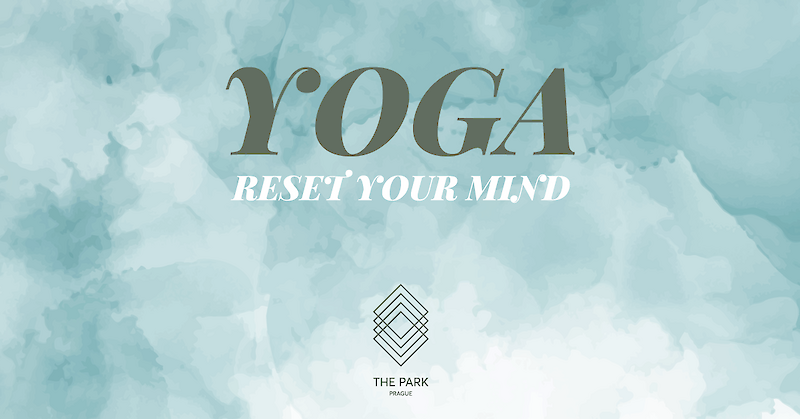 YOGA THE PARK
