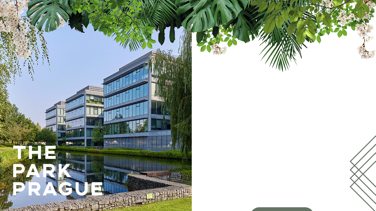 The Park Life The Park Life